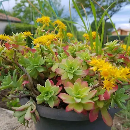 En Sud Ardèche Ruoms