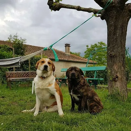Nyaraló En Sud Ardeche
