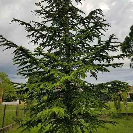 Gite En Sud Ardeche