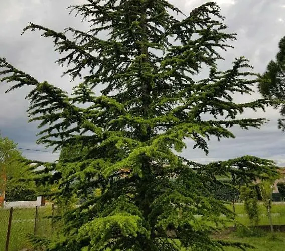 En Sud Ardeche